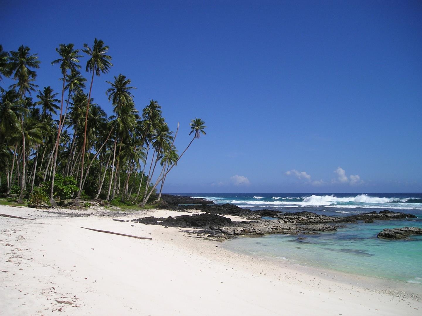 Apia